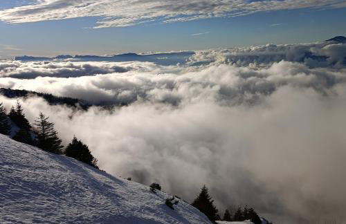 Studio Gaelle - Foto 18