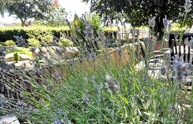 Apartment on a Farm Near Dusseldorf - Foto 19