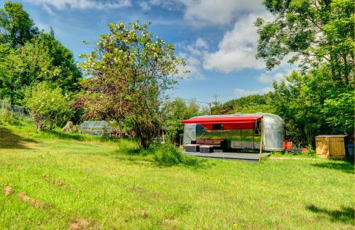 Vintage glamping Airstream with Farm Animals - Foto 13