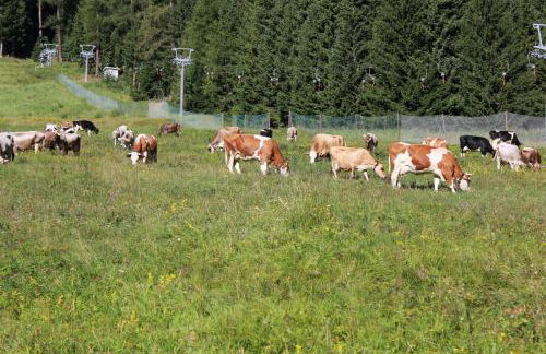 Casa Lilly - Foto 21