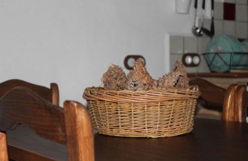 Finca El Chaparral - Foto 44