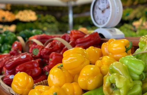 North Fork House for Rent - Photo 48