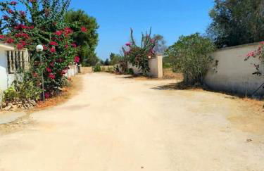 Ville Scelsa - Foto 1