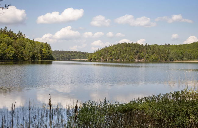 2 bedroom House in Skällinge with garden and terrace - Photo 27