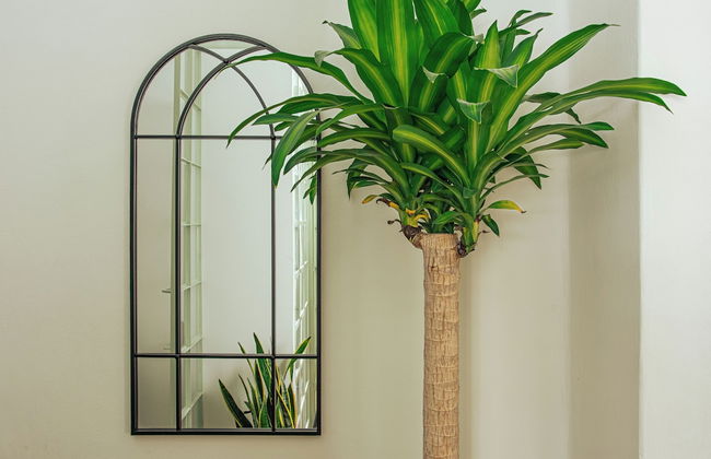 LAREDO by Mr. W - Foto 53