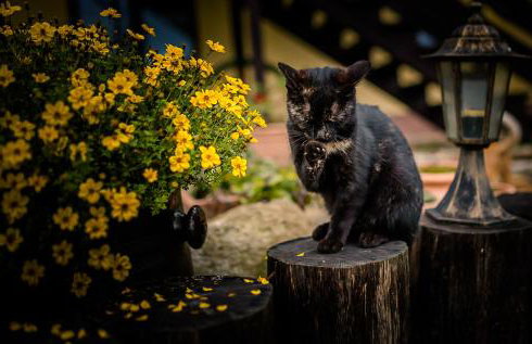 Agroturystyka Natura - Foto 46