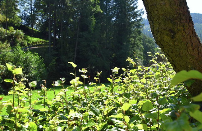 Comfortable Apartment in Baiersbronn With Balcony - Foto 13