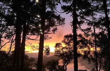La negra - cabana entre araucárias - Foto 2