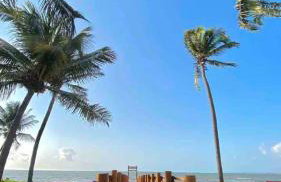 Conchas do Mar- APTO 2 QUARTOS -Ponta de Campina - Foto 19