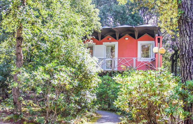 Resort Riva degli Etruschi - Foto 80