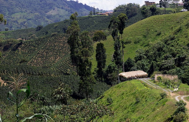 Eco Hotel Glamping El SIlencio - Foto 14