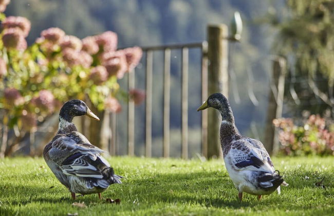 Holiday Apartment The Neuhaus - Foto 32