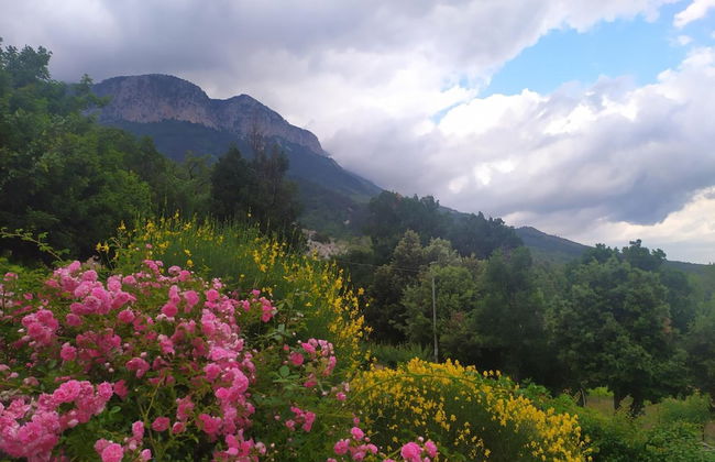 Agriturismo Colloreto - Foto 20