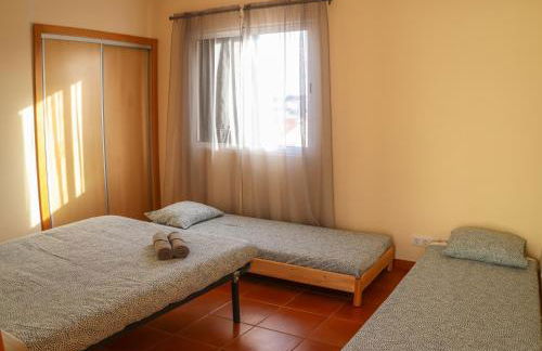 O DRAGOEIRO da Madalena! - Foto 29