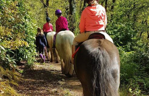 No 4 Trelawney Apartment - Onsite Bar - Restaurant - Horse Riding - Foto 15