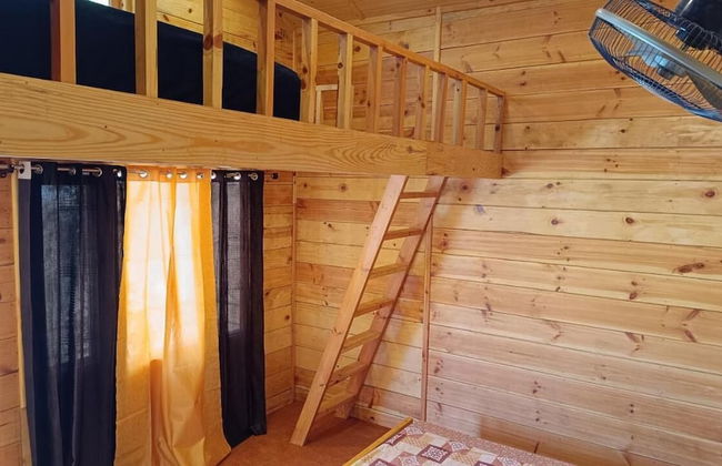 The Nirvana Stays - Foto 24