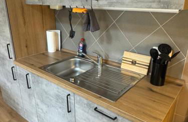 Moderne große Wohnung mit Garten - Foto 8