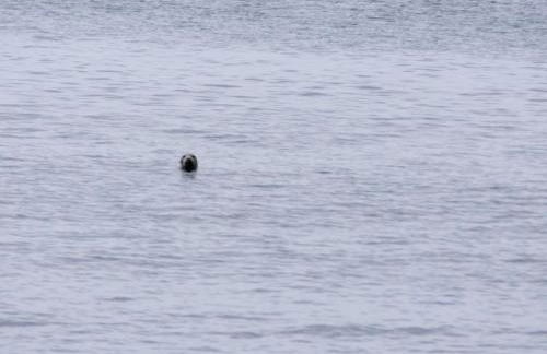 Beachfront, Antrim Coast, Stunning Views & Hot Tub - Foto 23