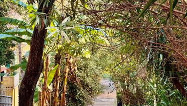 Vatican Staircase - Foto 1, Garden view