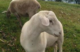 Cabana Deck 2 - Foto 13