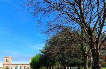 Dream & Fly Apartments - Foto 31