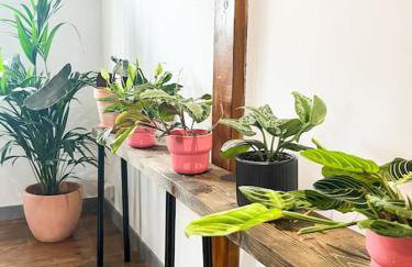 Aplanty Nest amidst the Orchard - Foto 10