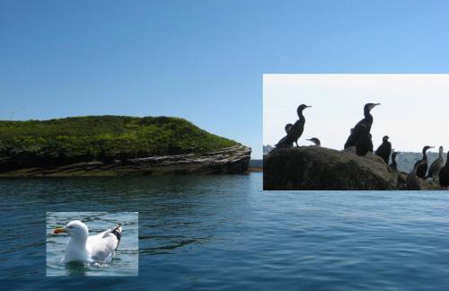 Maison sur la Presqu'île de Plougastel - Foto 19