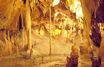 Quinta das Arribas - Foto 29