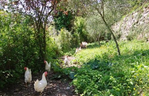 Fattorialmare Blu - Foto 12