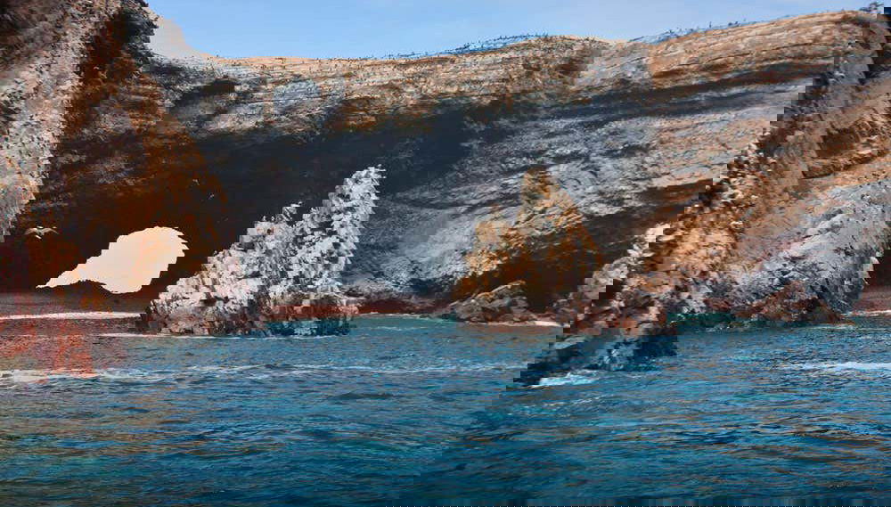 Ica Private Day Trips - Foto 1