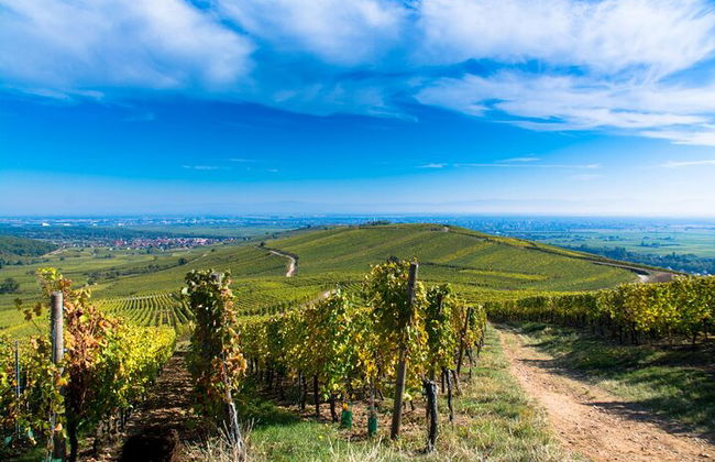 Tour guidato per piccoli gruppi con partenza da Strasburgo - Foto 6