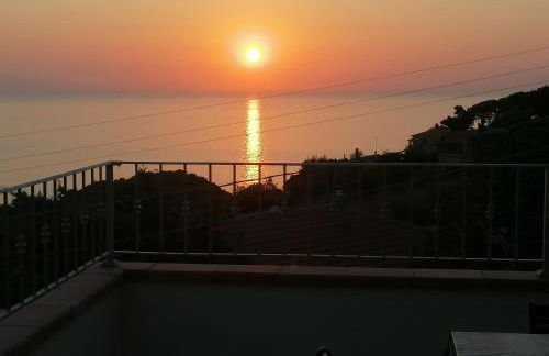 L' Elicriso - Foto 6