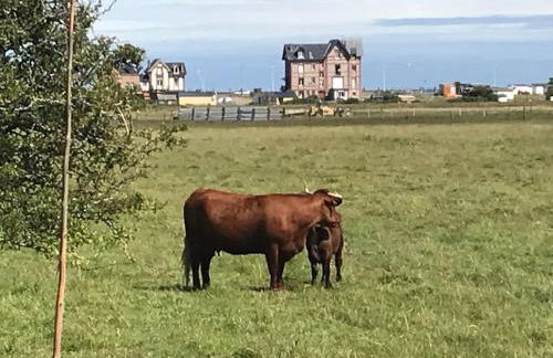 LES TAMARIS, Villa face à la mer, emplacement privilégié - Foto 40