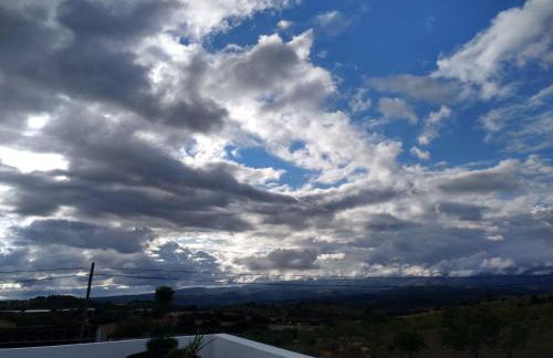 APOLINÁRIO - Foto 6