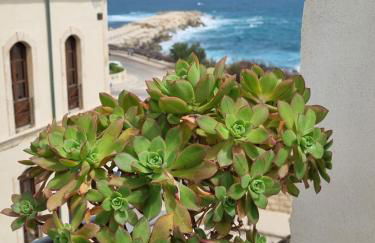 Salve Vista Mare - Photo 19