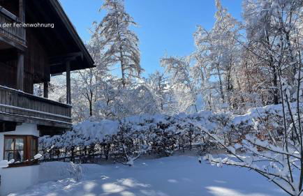 Bamberger Monika - Foto 5