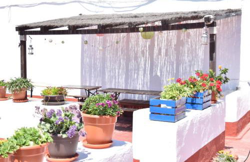 Apartamento La Discusión de Veedor 12 - Foto 13