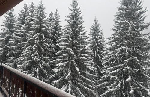 Chalet Figue - Foto 25