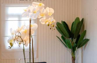 Caniçada House - Gerês - Foto 14