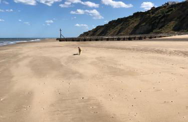 The Lookout - Foto 53