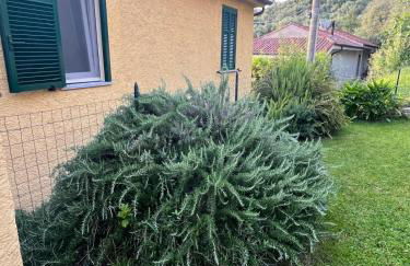 A Cà; Gialla - Foto 25