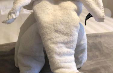 Glorious Duplex Holiday Apartment By The Sea - Photo 7