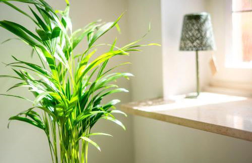 Boutique Apartments in Villa direkt an der Mosel - Foto 36