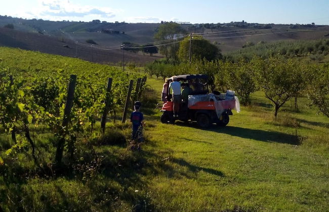 I Tre Filari - Foto 34