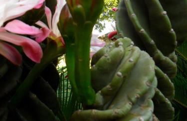 Yolanda Family House - Foto 29