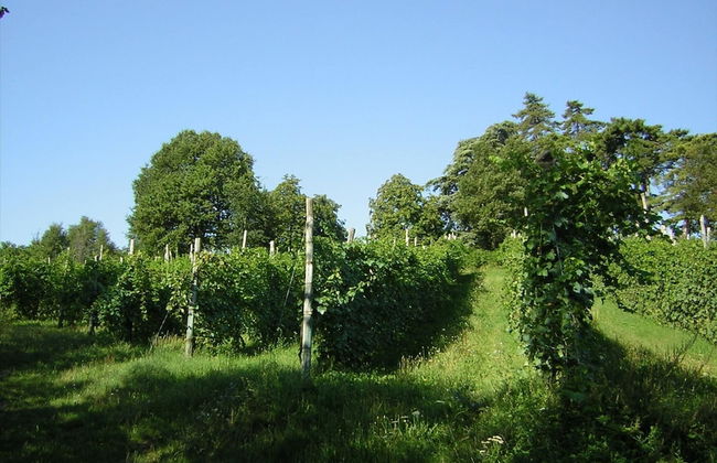 Apartment in a 19th Century Building, in the Hills With Stunning Views, Wifi - Foto 21