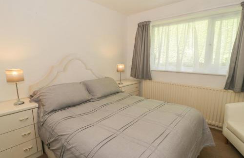 Trem Y Foel - Foto 11