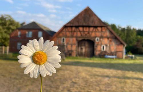 Ferienwohnung Elbsegler - Foto 1