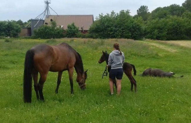 1 in the Maassen Country House - Foto 9