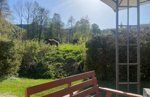 Filipówka - dom z sauną w Karkonoszach - Foto 21